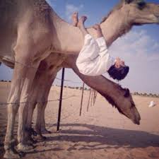 صورة