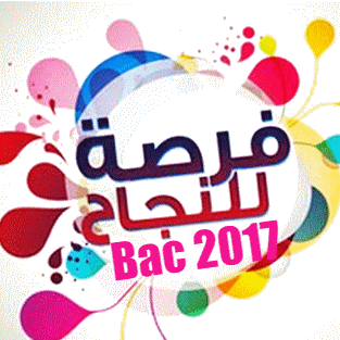 فرصة للنجاح