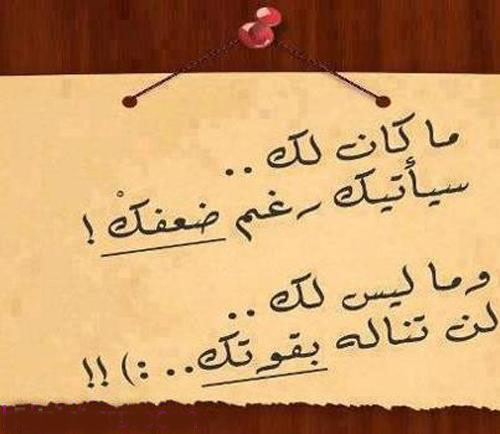 ���� ���� ������ �� ���� ������