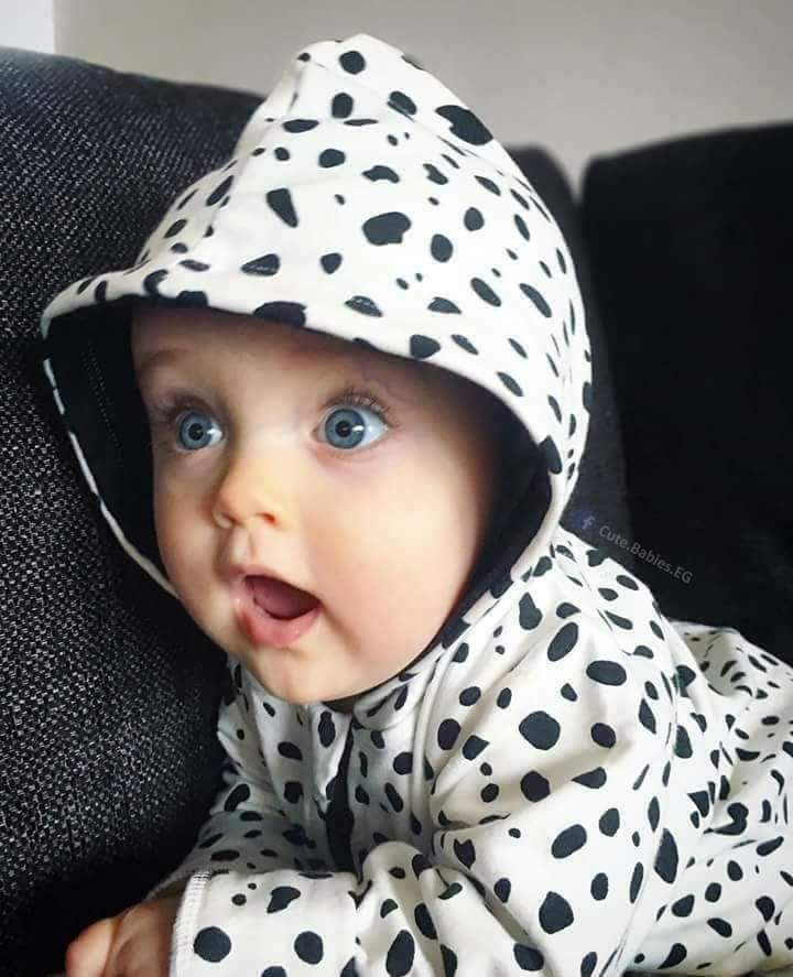 ���� ���� ������ �� ���� ������