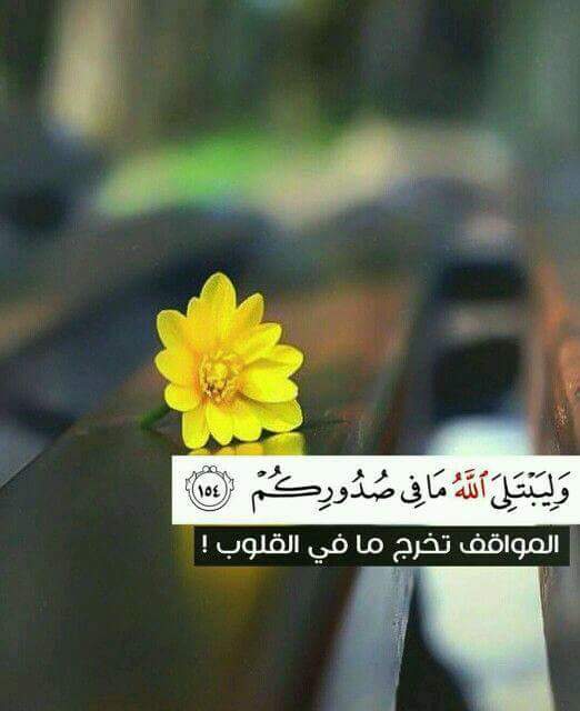 ���� ���� ������ �� ���� ������