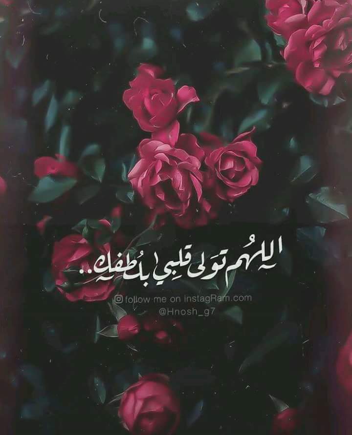 ���� ���� ������ �� ���� ������