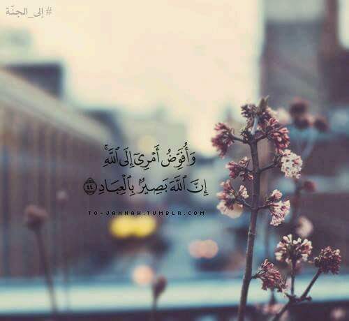 ���� ���� ������ �� ���� ������