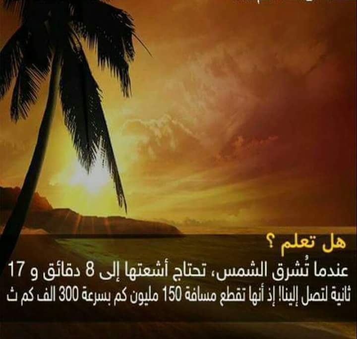 ���� ���� ������ �� ���� ������