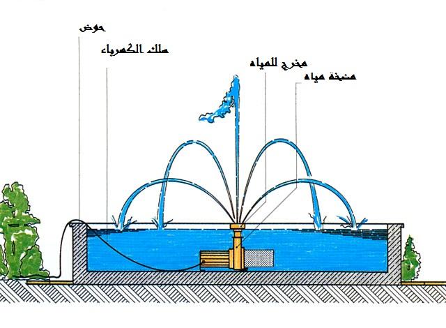 185091906.jpg