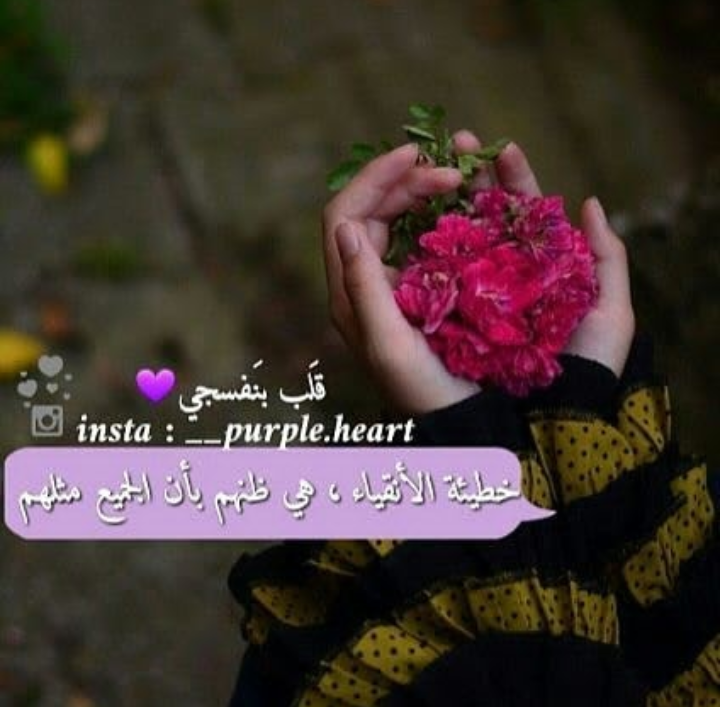 ���� ���� ������ �� ���� ������