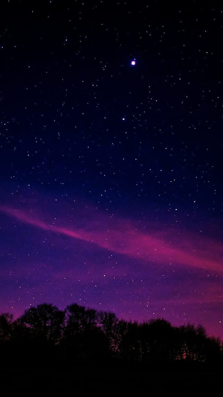 ���� ���� ������ �� ���� ������