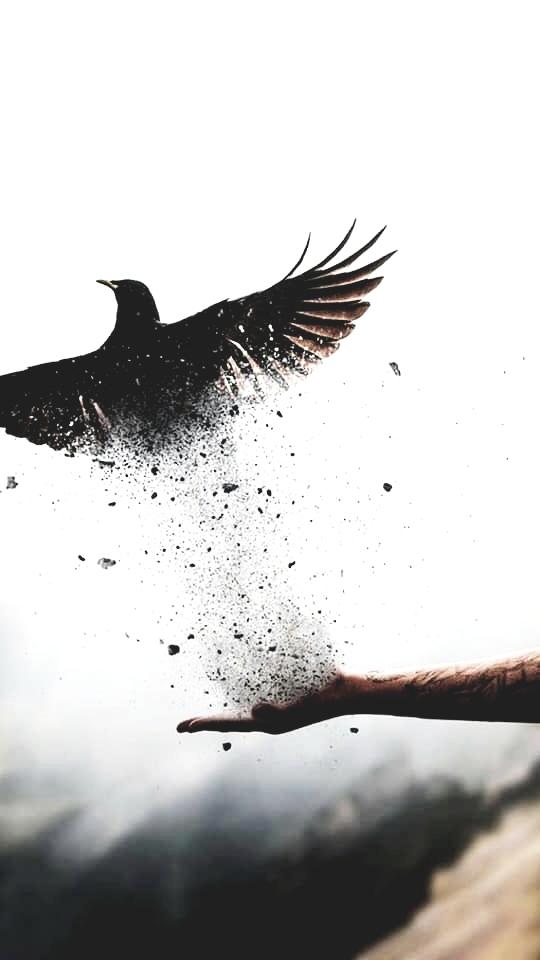 ���� ���� ������ �� ���� ������