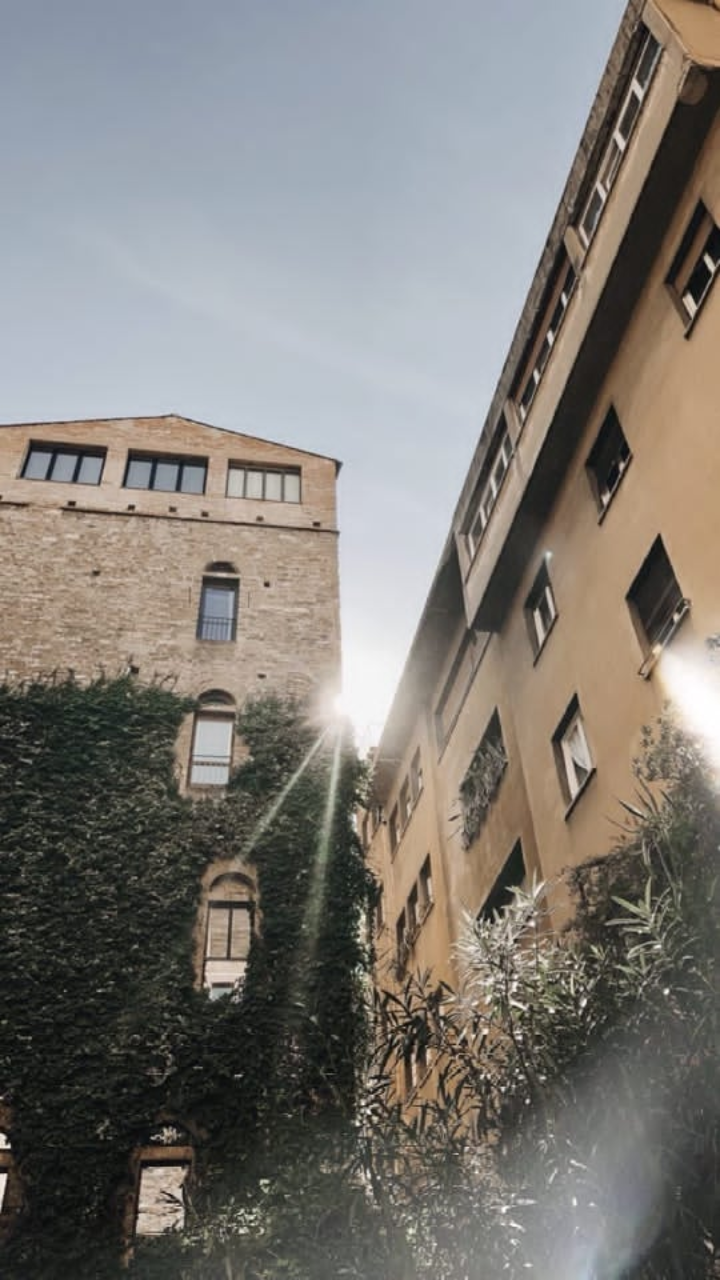 ���� ���� ������ �� ���� ������