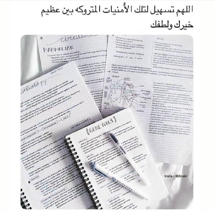 ���� ���� ������ �� ���� ������