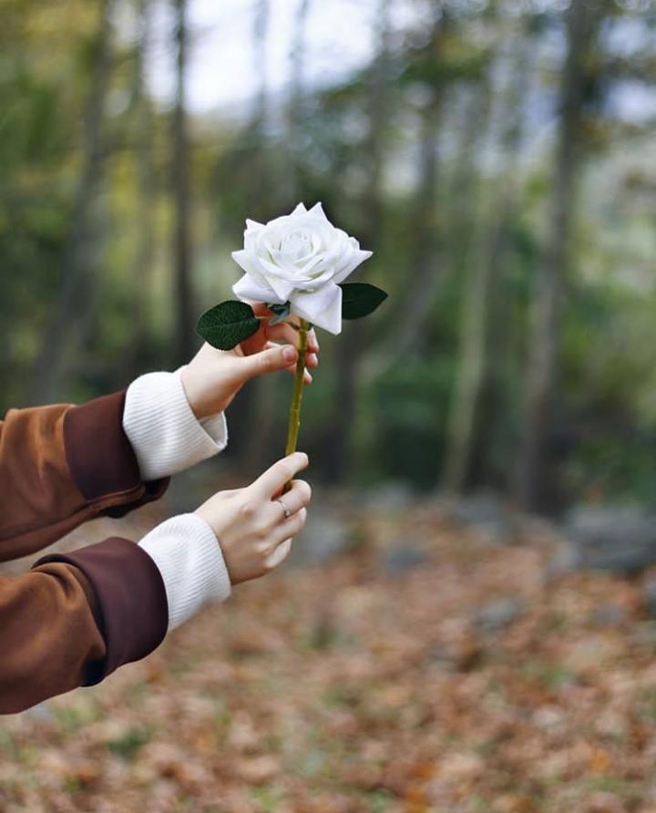 ���� ���� ������ �� ���� ������