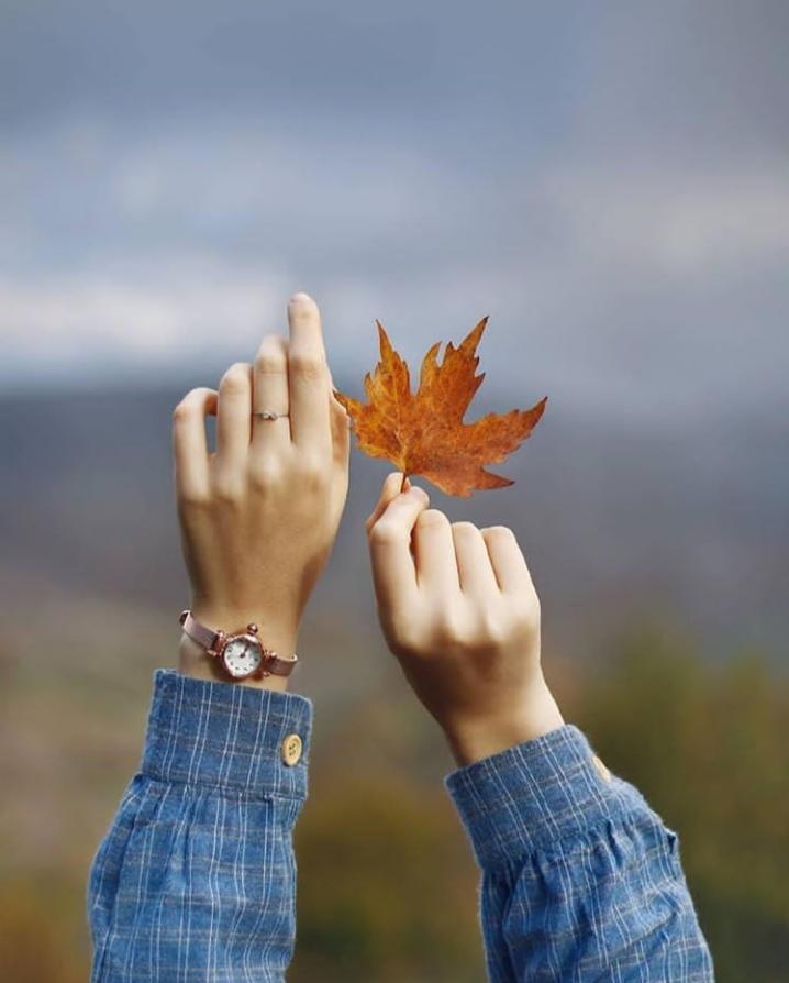 ���� ���� ������ �� ���� ������