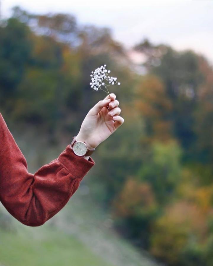 ���� ���� ������ �� ���� ������