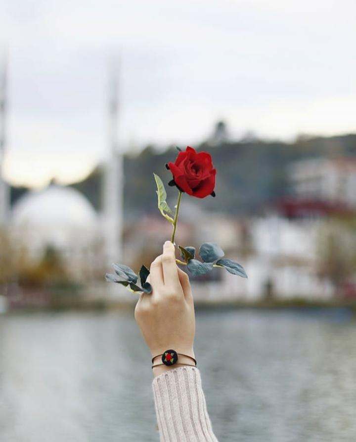 ���� ���� ������ �� ���� ������