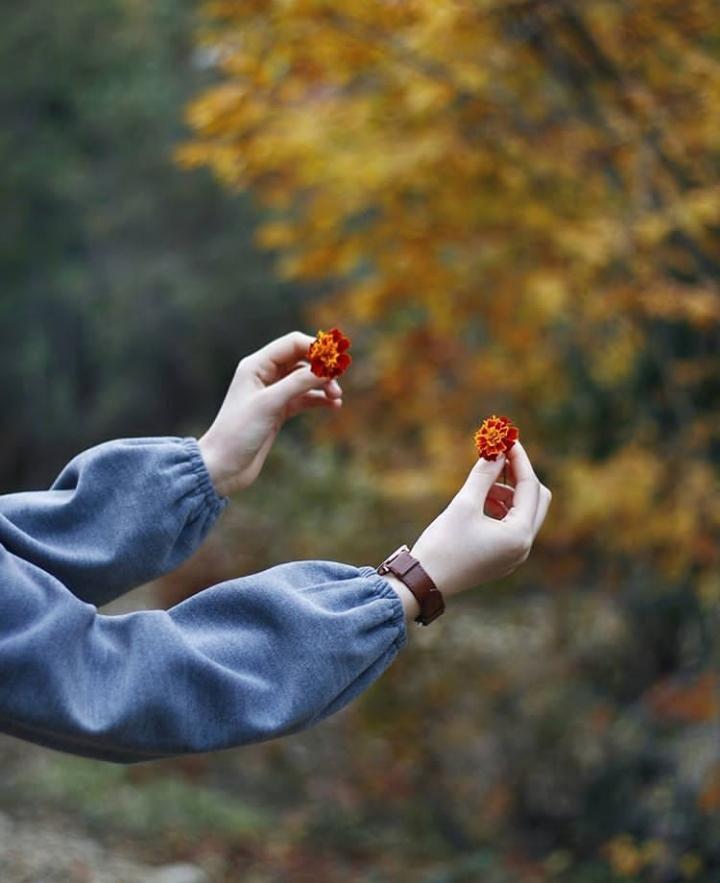 ���� ���� ������ �� ���� ������