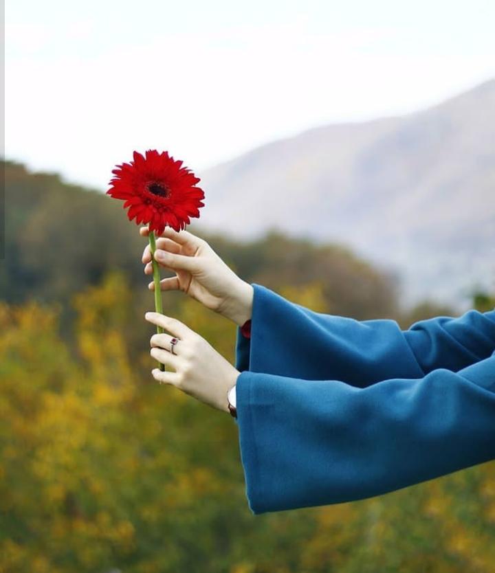 ���� ���� ������ �� ���� ������