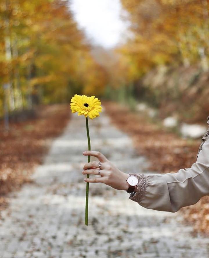 ���� ���� ������ �� ���� ������