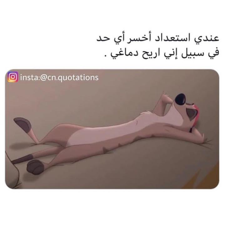 ���� ���� ������ �� ���� ������