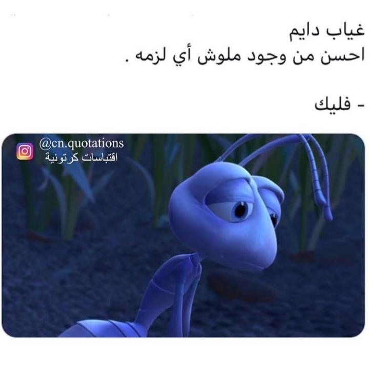 ���� ���� ������ �� ���� ������