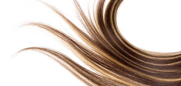 طريقة تطويل الشعر ❤ مقال حول كيفية تطويل الشعر بالطرق الطبيعية ❤