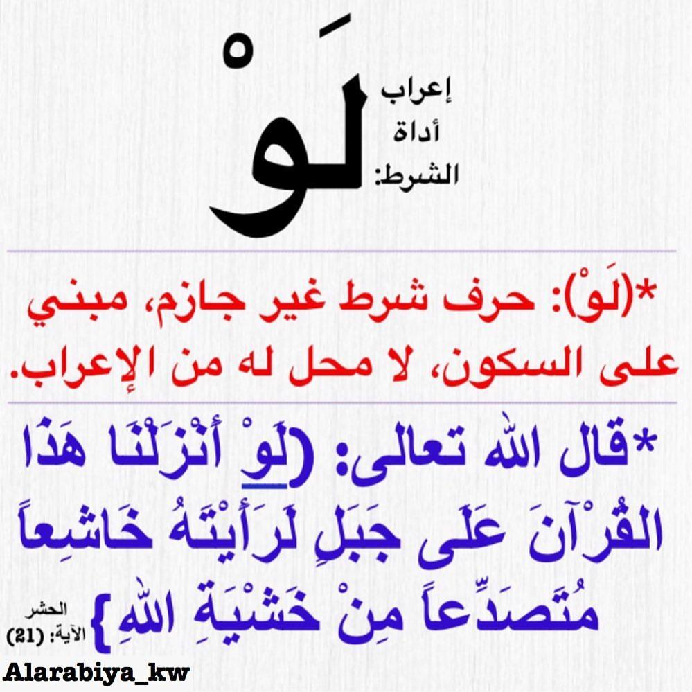 ���� ���� ������ �� ���� ������