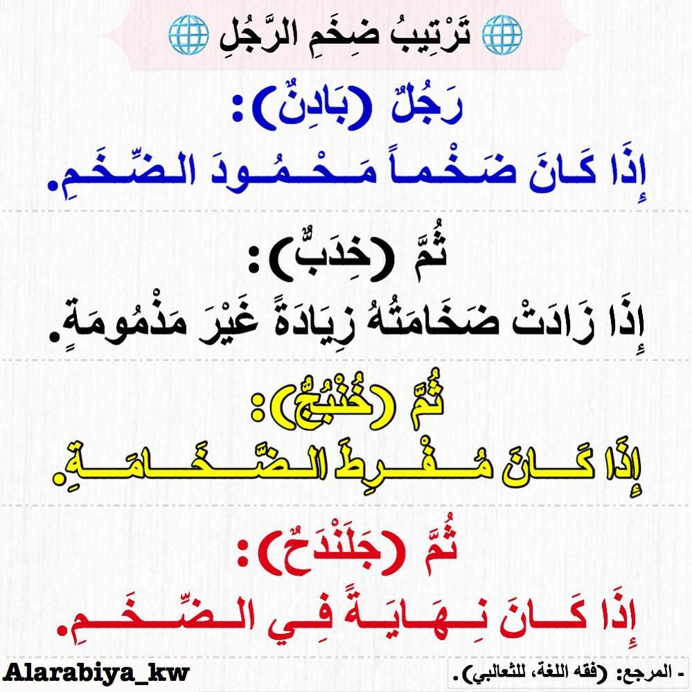 ���� ���� ������ �� ���� ������