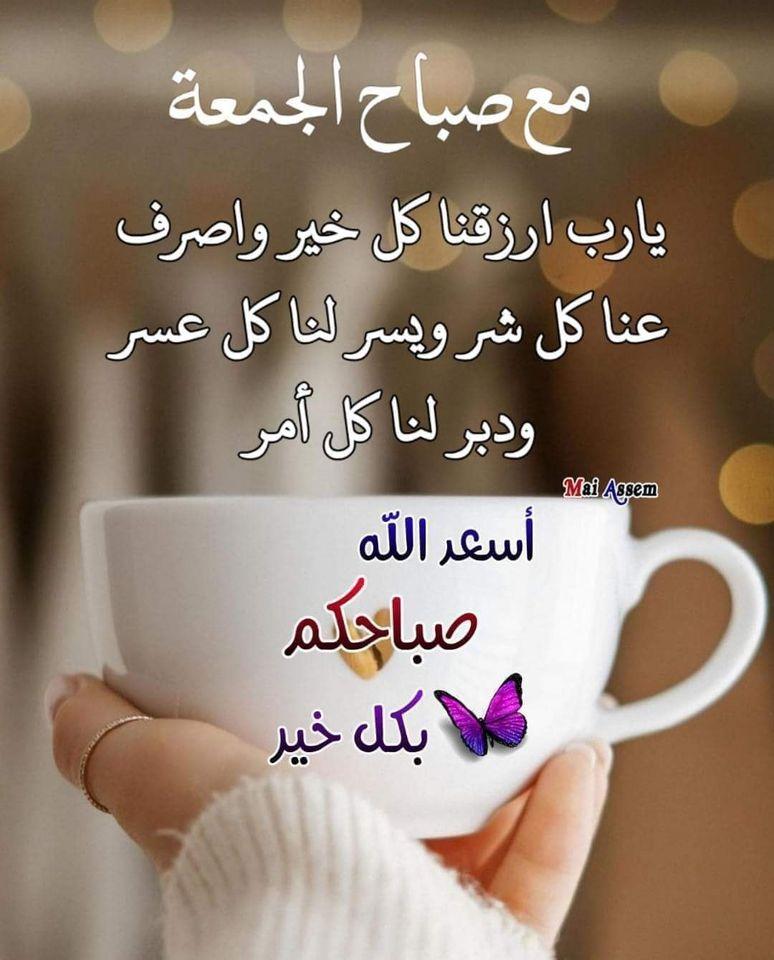 ���� ���� ������ �� ���� ������