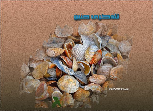 ���� ���� ������ �� ���� ������