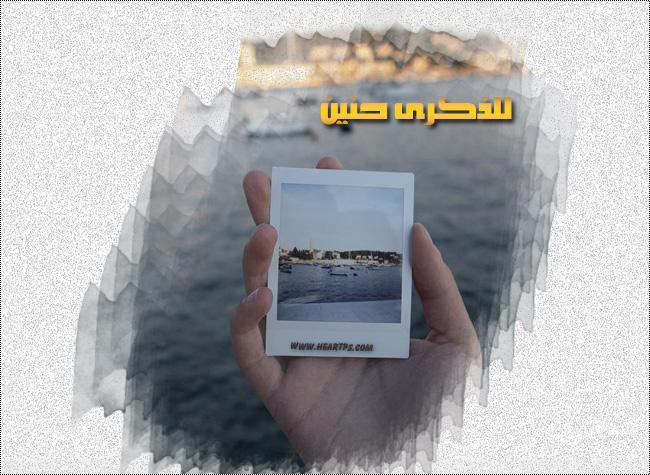 ���� ���� ������ �� ���� ������