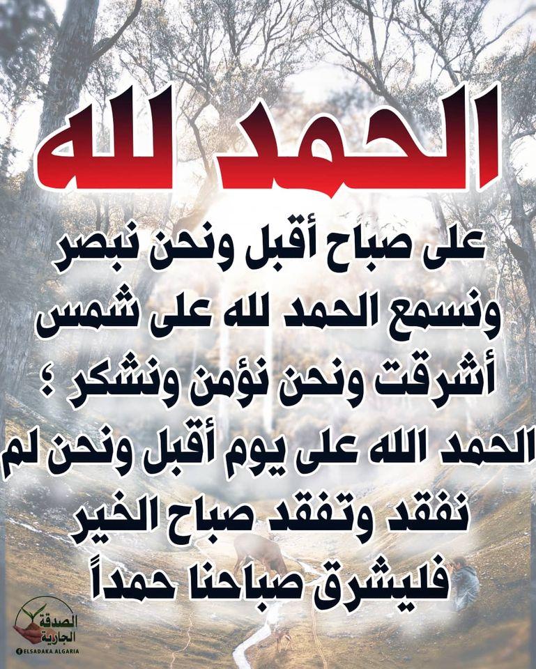 ���� ���� ������ �� ���� ������