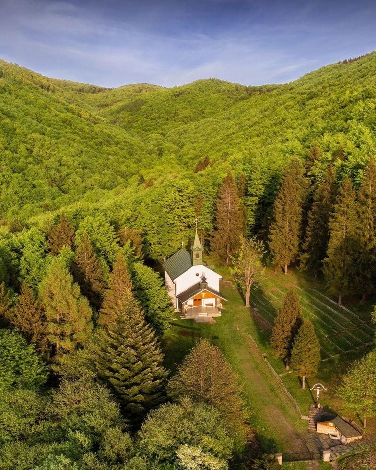 ���� ���� ������ �� ���� ������