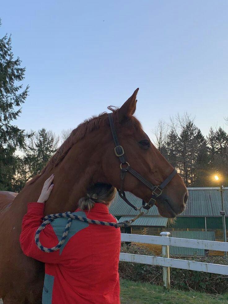 ���� ���� ������ �� ���� ������