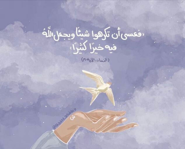 ���� ���� ������ �� ���� ������