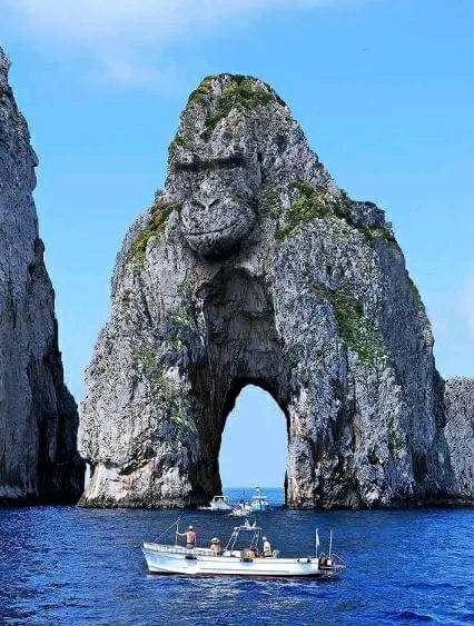 ���� ���� ������ �� ���� ������