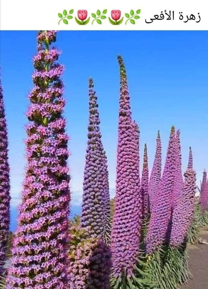 ���� ���� ������ �� ���� ������