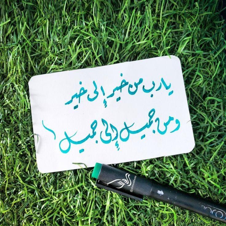 ���� ���� ������ �� ���� ������