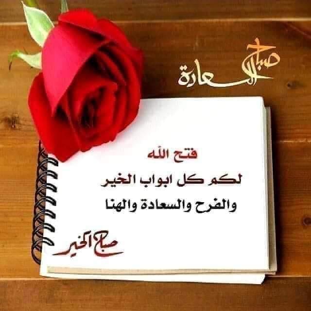 ���� ���� ������ �� ���� ������