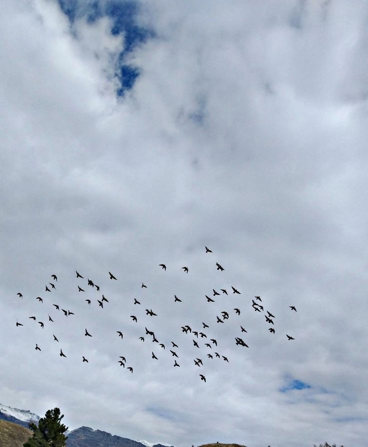 ���� ���� ������ �� ���� ������