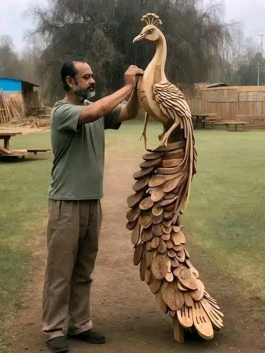 ���� ���� ������ �� ���� ������