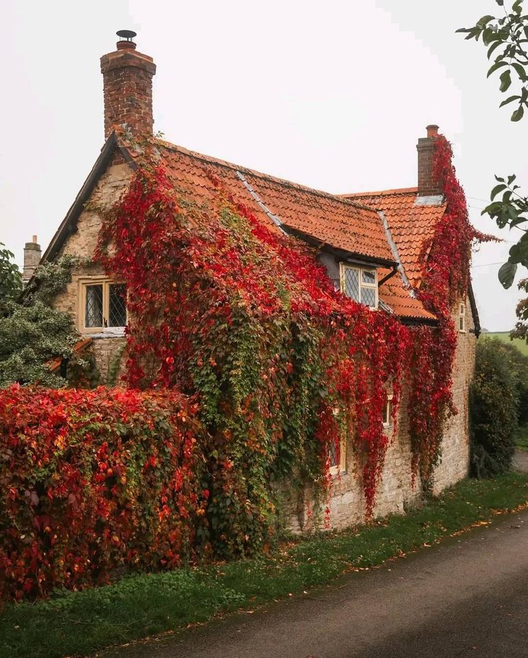 ���� ���� ������ �� ���� ������