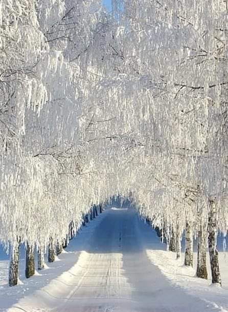 ���� ���� ������ �� ���� ������