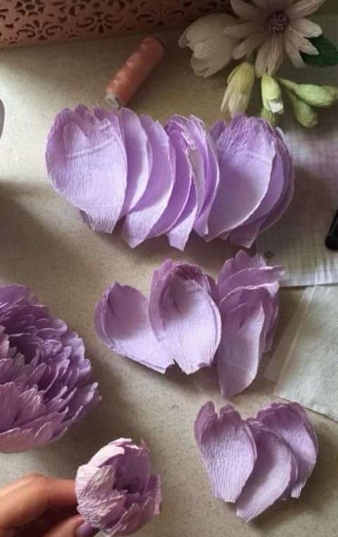  :rose: